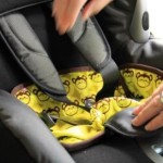 carseat_monkey